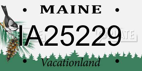 IA25229 Maine License Plate