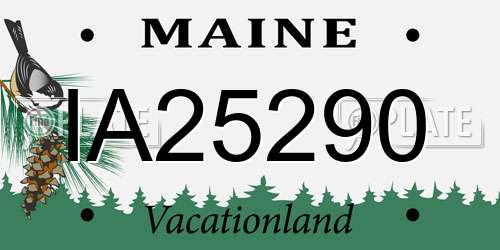 IA25290 Maine License Plate