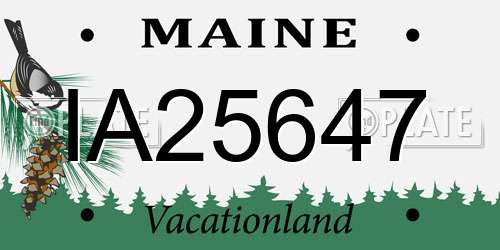 IA25647 Maine License Plate