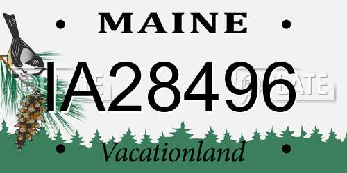 IA28496 Maine License Plate