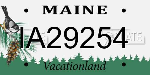 IA29254 Maine License Plate