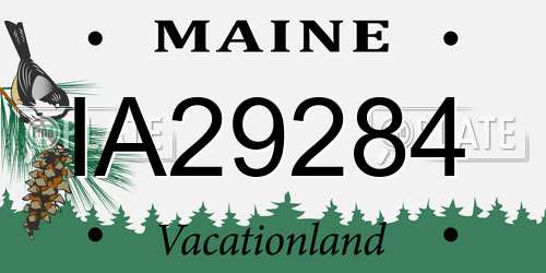 IA29284 Maine License Plate