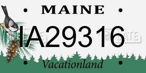 IA29316 Maine License Plate
