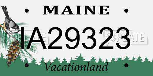 IA29323 Maine License Plate