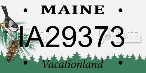 IA29373 Maine License Plate