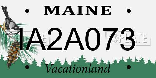 IA2A073 Maine License Plate