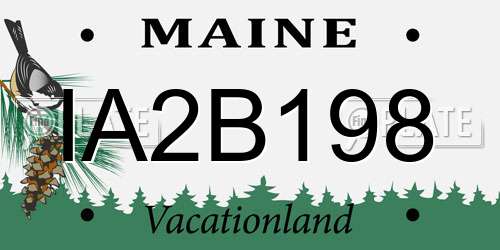 IA2B198 Maine License Plate
