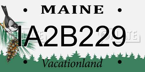 IA2B229 Maine License Plate