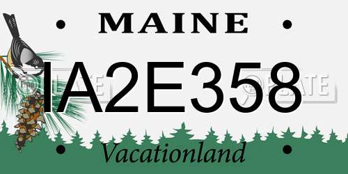 IA2E358 Maine License Plate