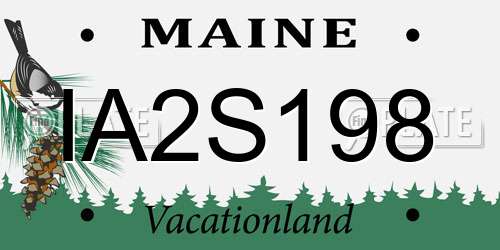 IA2S198 Maine License Plate