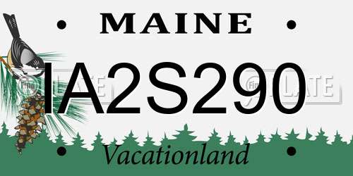 IA2S290 Maine License Plate
