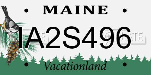 IA2S496 Maine License Plate