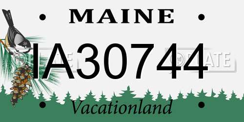 IA30744 Maine License Plate