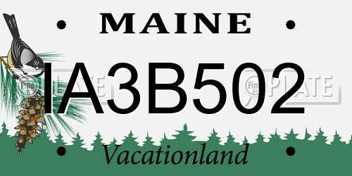 IA3B502 Maine License Plate