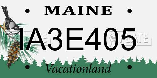 IA3E405 Maine License Plate