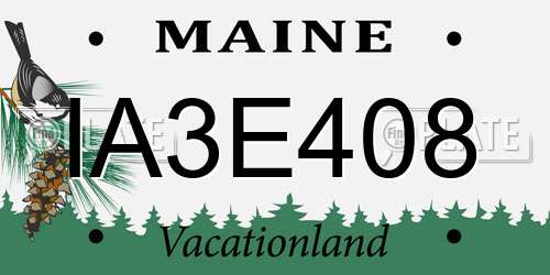 IA3E408 Maine License Plate