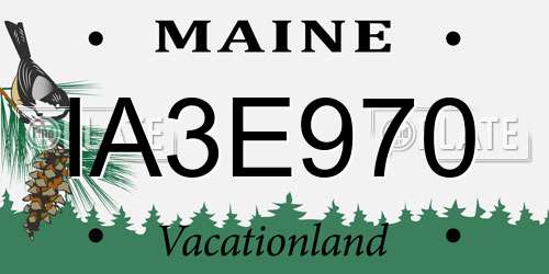 IA3E970 Maine License Plate