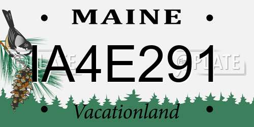 IA4E291 Maine License Plate