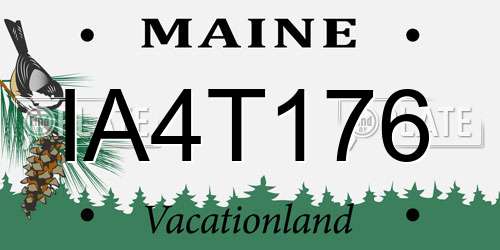 IA4T176 Maine License Plate