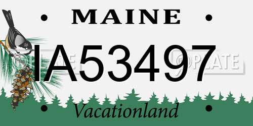 IA53497 Maine License Plate