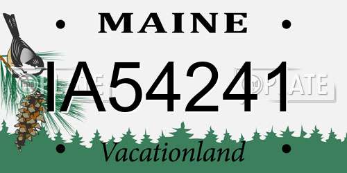 IA54241 Maine License Plate