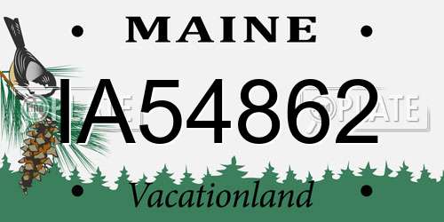IA54862 Maine License Plate