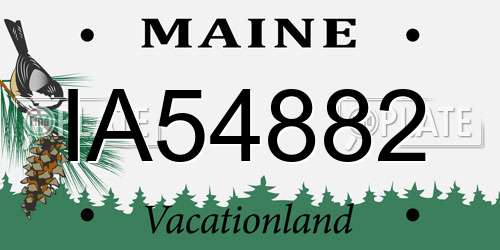 IA54882 Maine License Plate