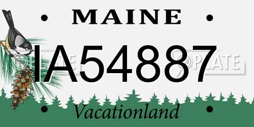 IA54887 Maine License Plate