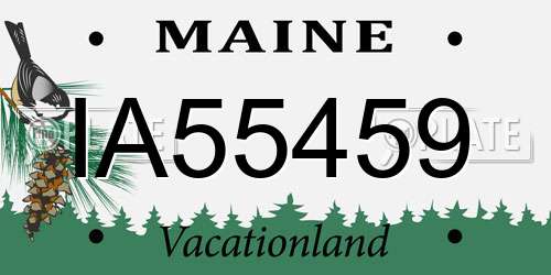 IA55459 Maine License Plate