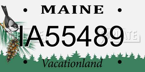 IA55489 Maine License Plate