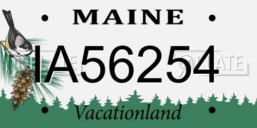 IA56254 Maine License Plate