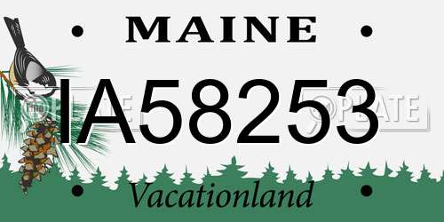 IA58253 Maine License Plate