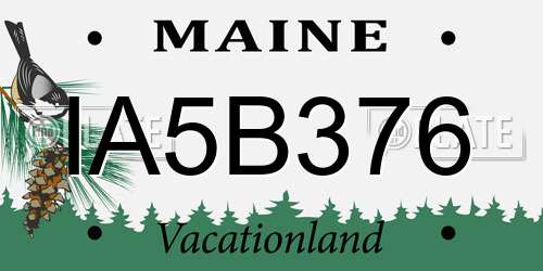 IA5B376 Maine License Plate
