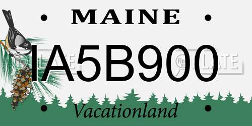 IA5B900 Maine License Plate
