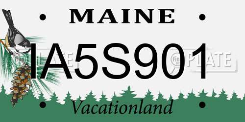 IA5S901 Maine License Plate