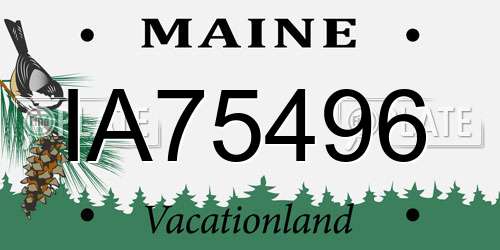 IA75496 Maine License Plate