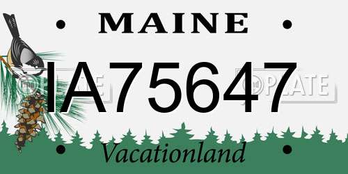IA75647 Maine License Plate