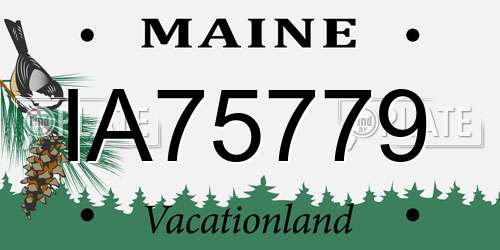IA75779 Maine License Plate