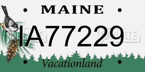 IA77229 Maine License Plate