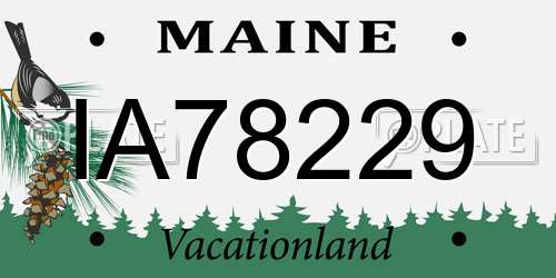 IA78229 Maine License Plate