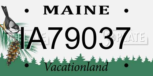 IA79037 Maine License Plate