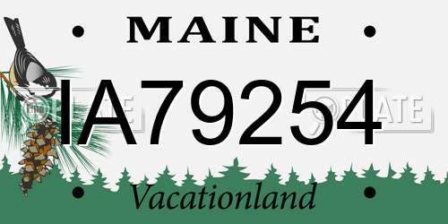 IA79254 Maine License Plate