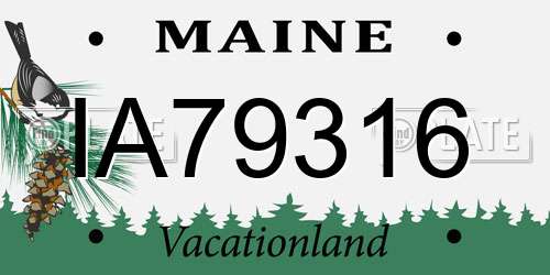 IA79316 Maine License Plate