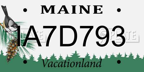 IA7D793 Maine License Plate
