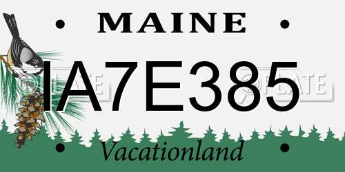 IA7E385 Maine License Plate