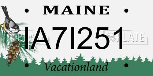 IA7I251 Maine License Plate