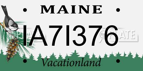 IA7I376 Maine License Plate