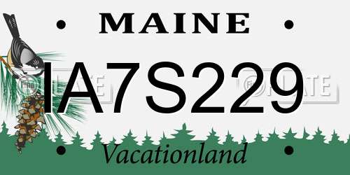 IA7S229 Maine License Plate