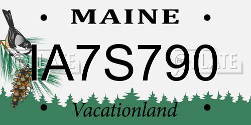 IA7S790 Maine License Plate