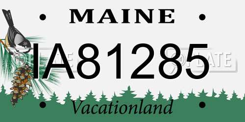 IA81285 Maine License Plate